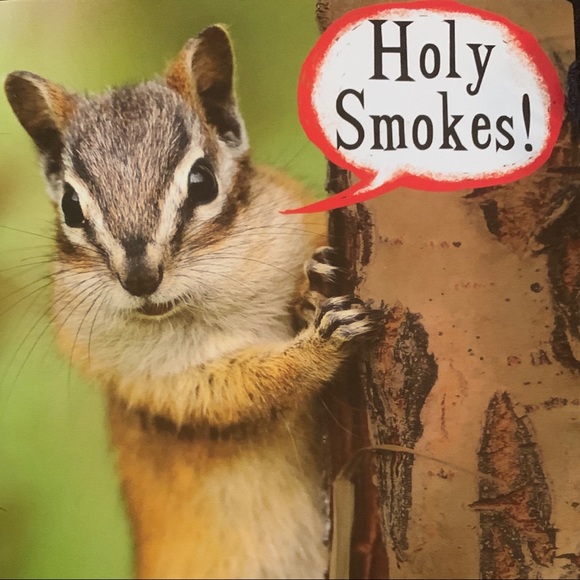 BOOKMARK my closet!!! Like this Listing for Notifications @squirrelresale 🐿🐿🐿 - Picture 8 of 16